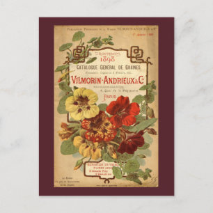 Vilmorin-Andrieux & Co. Seed Catalog Ad Vykort