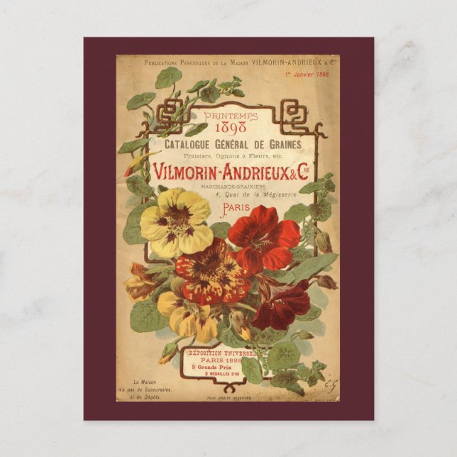 Vilmorin-Andrieux & Co. Seed Catalog Ad Vykort (Framsida)