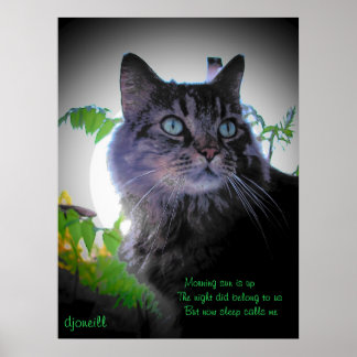 Viloläge ringer mig poster