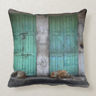 Vilsekommet djur förföljer framme av den gröna kudde