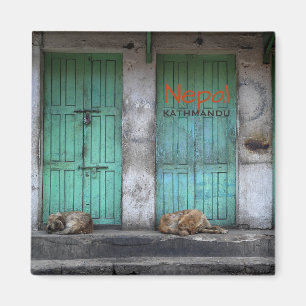 Vilsekommet djurhundar i Kathmandu, Nepal Magnet