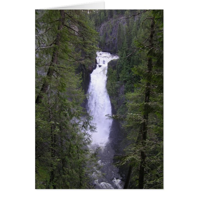 vilseledande hälsningskort (Framsidan)