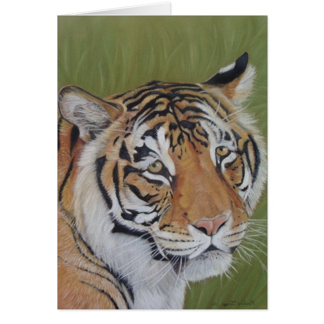 vilt porträtt bild av tigerkatt hälsningskort (Framsidan)