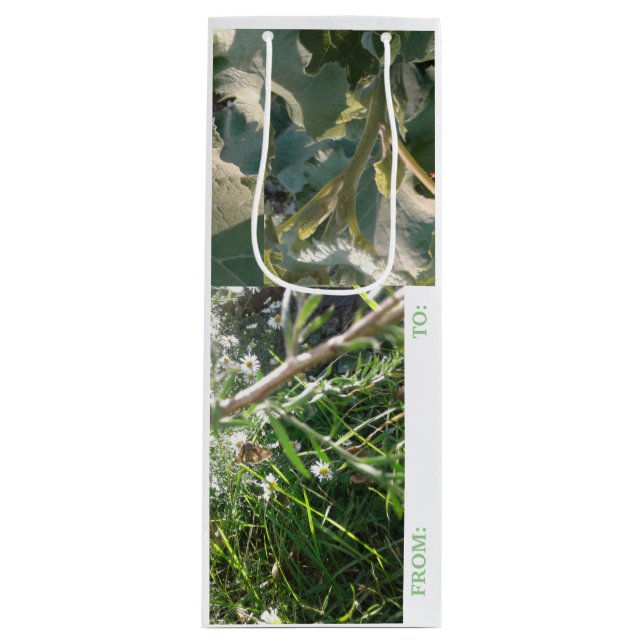 VIN-BÅDKORT COMBO/MMETROPOM DESIGN (Framsidan)