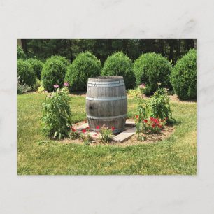 Vin Barrel Garden Decor, Chateau Morrisette, VA Vykort