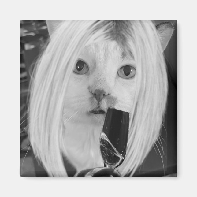 Vin Cat Magnet (Framsidan)