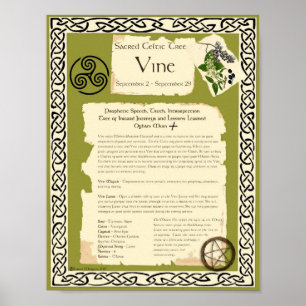 VIN CELTIC HELIG TRÄD POSTER
