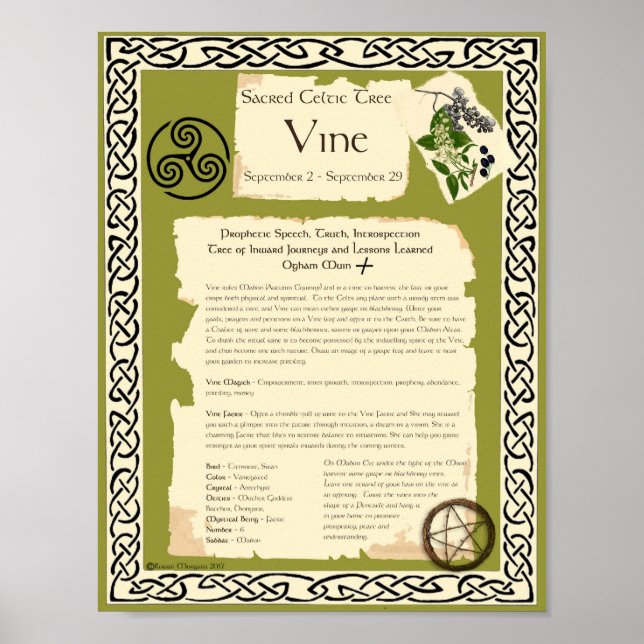 VIN CELTIC HELIG TRÄD POSTER (Framsidan)