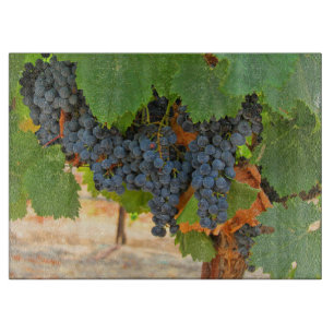 Vin Grape Vineyard