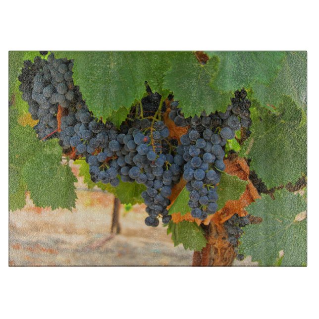 Vin Grape Vineyard (Framsidan)