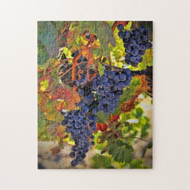 Vin Harvest Grape Höst färger Jigszle Puzzle Pussel (Vertikal)