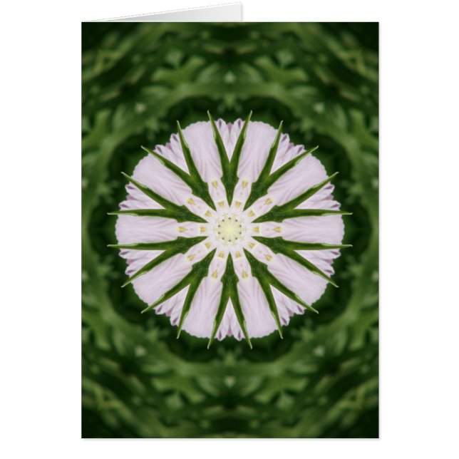 Vin Kopp Hearts OBS Kort (Framsidan)