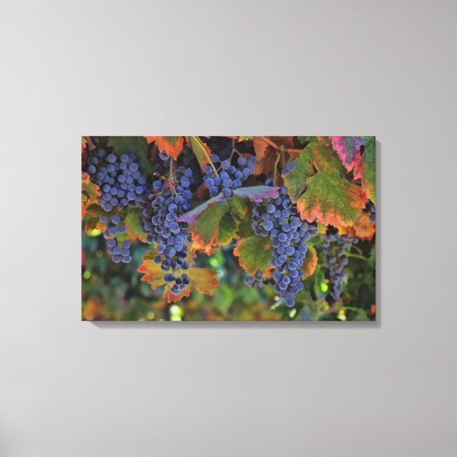Vin Land art Canvas Vineyard (Framsida)