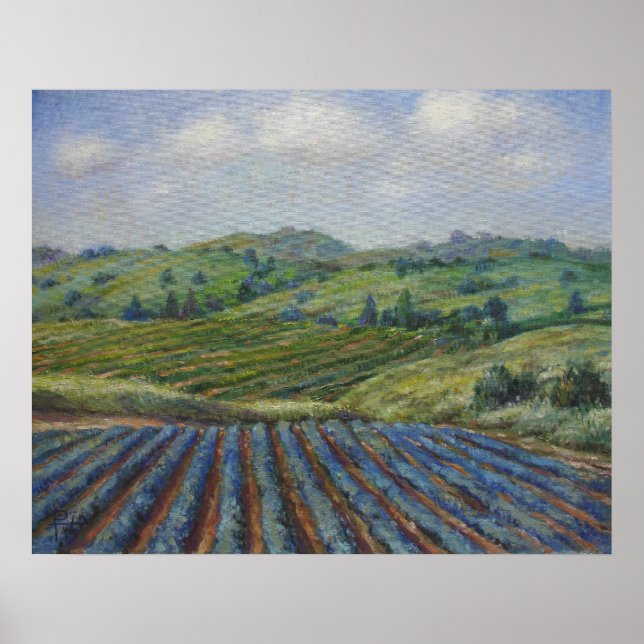 Vin Land Poster (Framsidan)