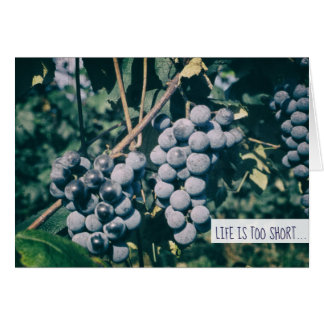 Vin Lila Grapes Harvest Grape on Vine Hälsningskort