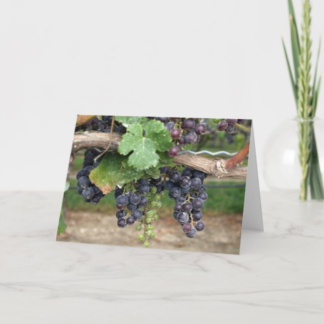 Vin på vinet kort (Framsida)