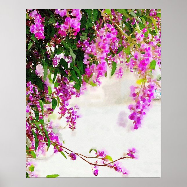 Vin Poster Lila Blommar Vine (8,5" x 11") (Framsidan)