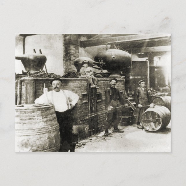 Vin skapar 1900 1 vykort (Framsida)