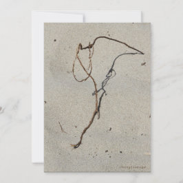 Vin/Sten, Cannon Beach, Oregon Kort