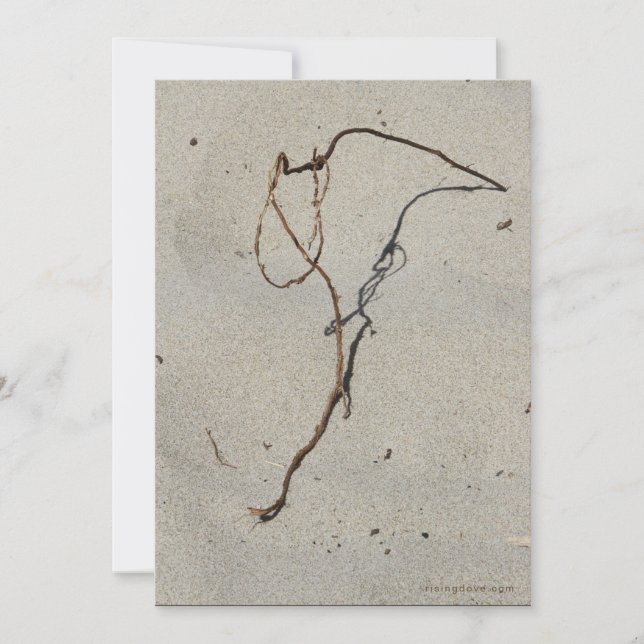 Vin/Sten, Cannon Beach, Oregon Kort (Framsida)