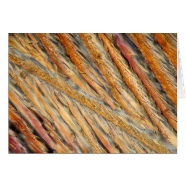 Vin under mikroskop - Chardonnay Hälsningskort (Framsidan Horizontal)