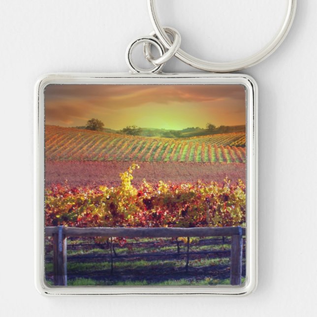 Vin Vineyard Fyrkantig Silverfärgad Nyckelring (Framsidan)