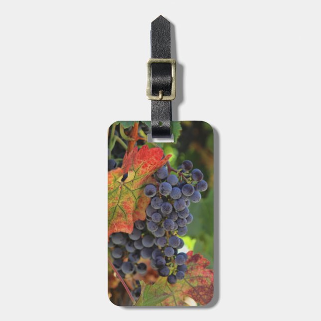 Vin Vineyard Luggage Taggs Bagagebricka (Vertikal Framsida)
