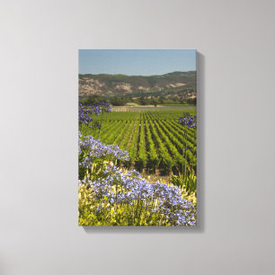 Vin Vineyard och Lila blommor Canvastryck
