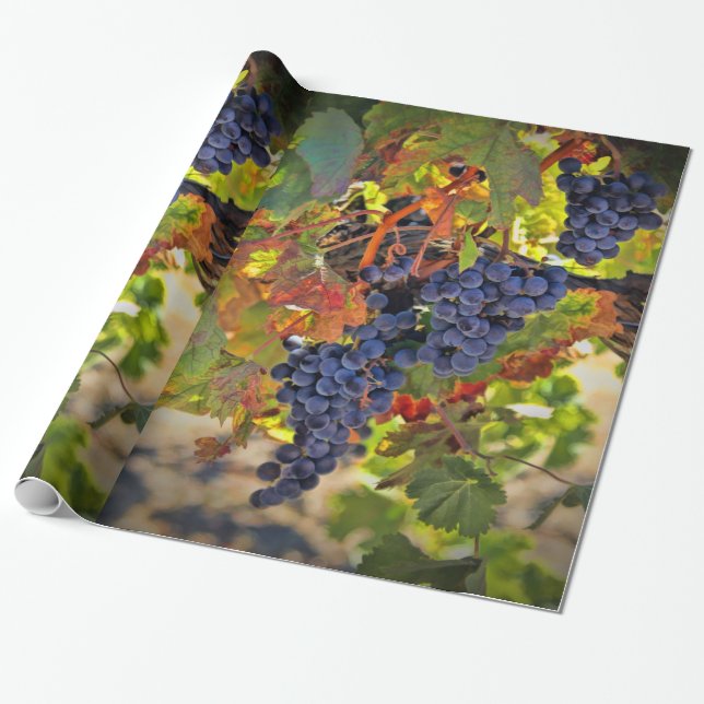 Vin Vineyard Presentpapper (Utrullad)