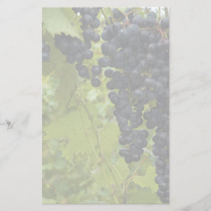 Vin Vineyard Theme Bröllop Brevpapper