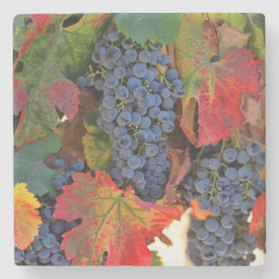 Vin Vineyard Underlägg