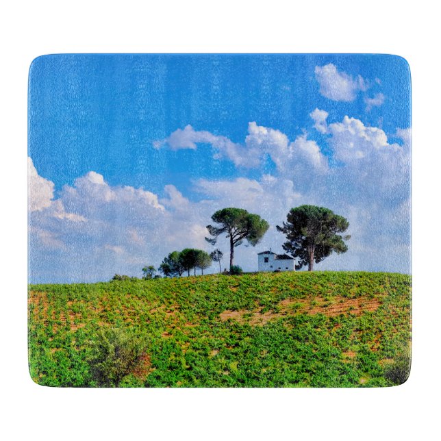 Viña de Los Pinos (Framsidan)