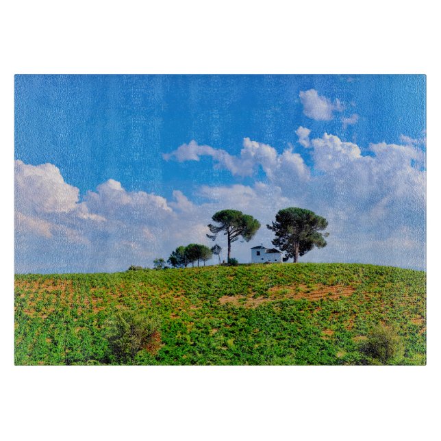 Viña de Los Pinos (Framsidan)