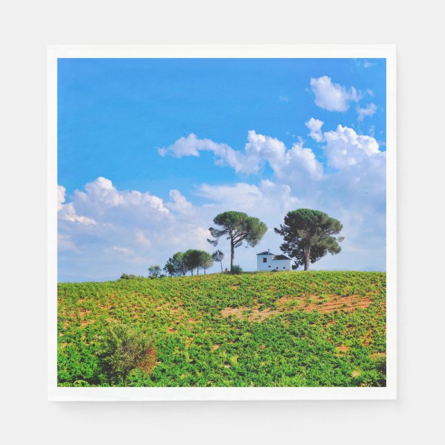 Viña de Los Pinos Pappersservett (Framsidan)