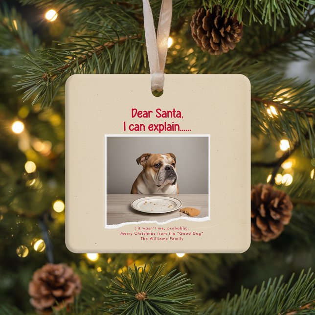 Vinage Funny Dog Pet Photo Christmas Holiday Julgransprydnad Keramik (Skapare uppladdad)