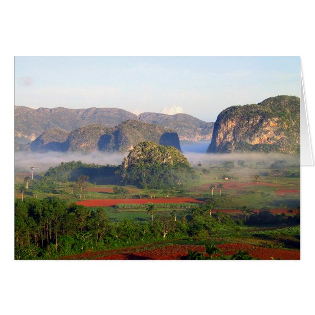 Viñales nationalpark, Kuba Hälsningskort (Framsidan Horizontal)
