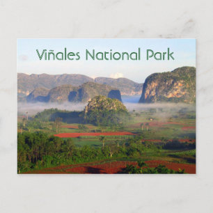 Viñales nationalpark, Pinar del Rio, Kuba Vykort