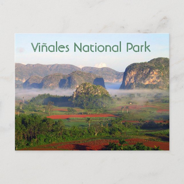 Viñales nationalpark, Pinar del Rio, Kuba Vykort (Framsida)