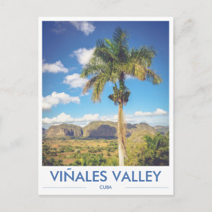 Viñales Valley Kuba Palmtree Foto vykort