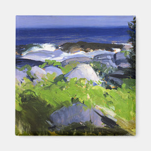 Vinbevuxen strand, Monhegan Island, Maine, finkons Magnet
