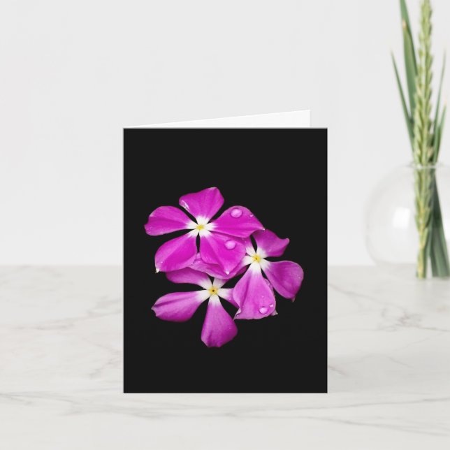 'Vinblommeblommor efter regnfall' Blank Notkorthäf Kort (Framsida)