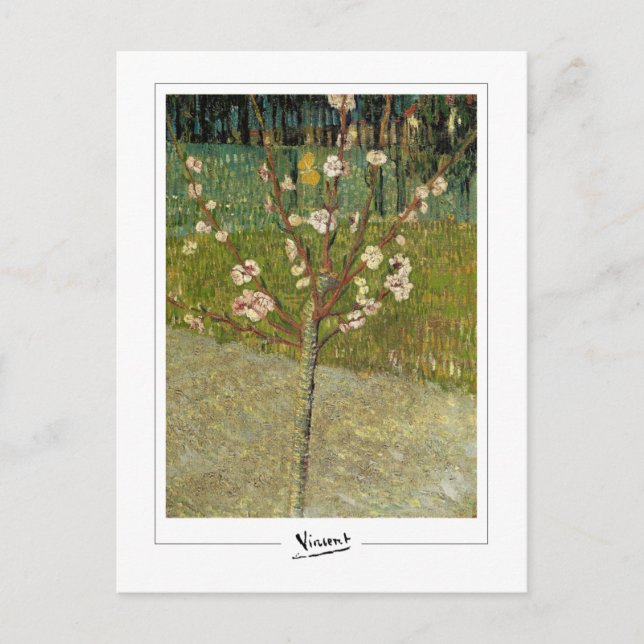 Vincent Van Gogh #14-3 - Finkonst Vykort (Framsida)