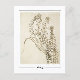 Vincent Van Gogh #356-3 - Konst Vykort