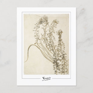 Vincent Van Gogh #356-3 - Konst Vykort