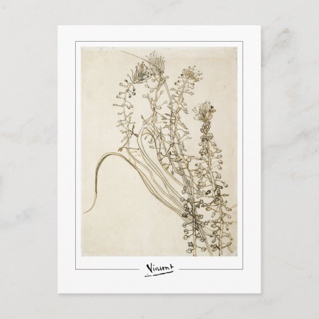 Vincent Van Gogh #356-3 - Konst Vykort (Framsida)