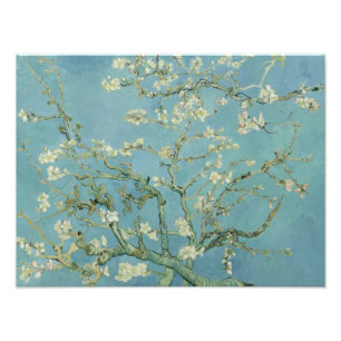 Vincent van Gogh - Almond Blommar Fototryck