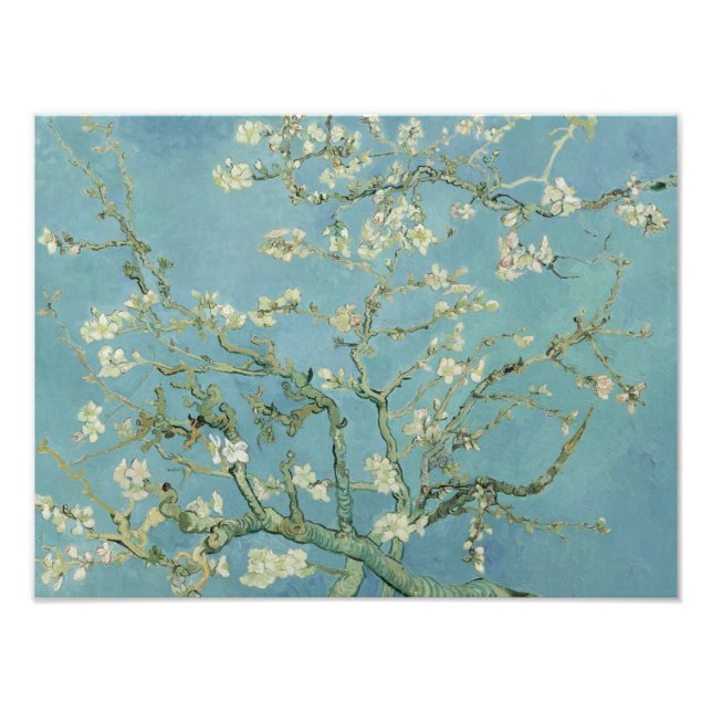Vincent van Gogh - Almond Blommar Fototryck (Framsidan)