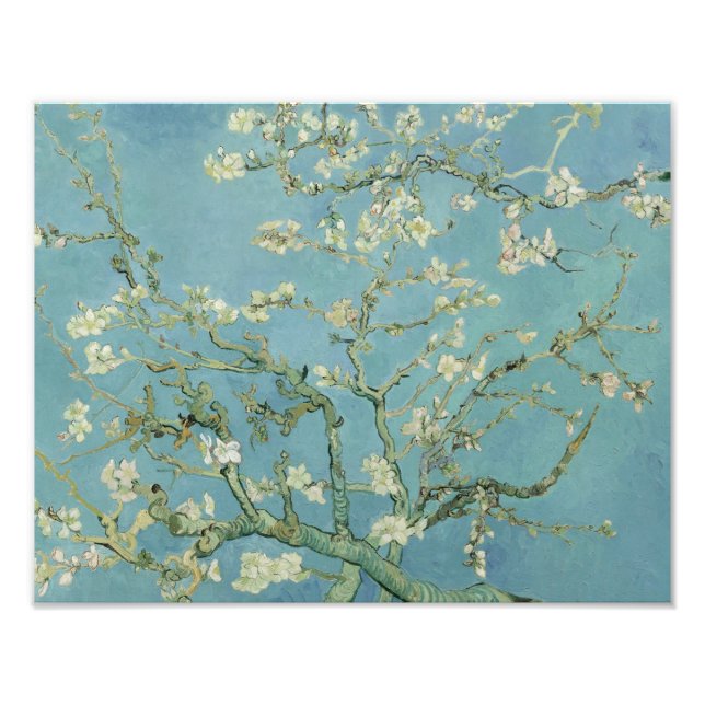 Vincent van Gogh - Almond Blommar Fototryck (Framsidan)