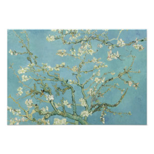 Vincent van Gogh - Almond Blommar Fototryck