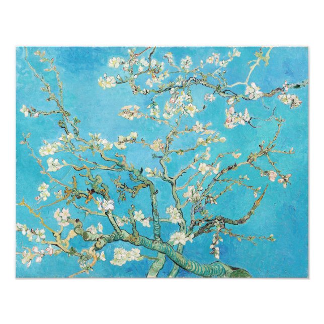 Vincent van Gogh - Almond Blommar Fototryck (Framsidan)